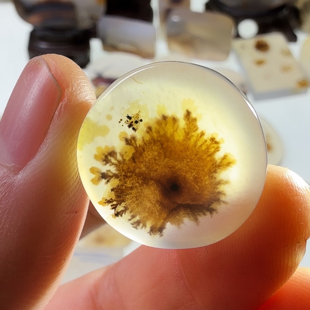 玛瑙/玉髓未镶嵌珠宝半成品