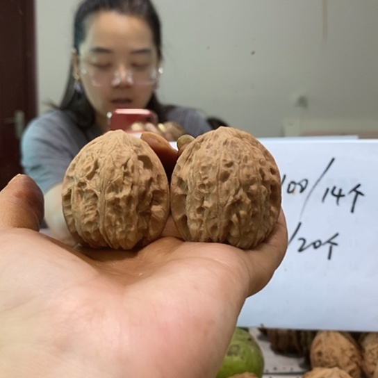 吊坠文玩核桃40罗汉头