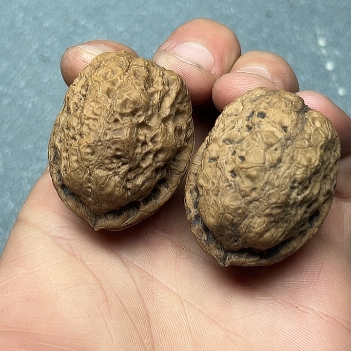 把件文玩核桃29号卧龙