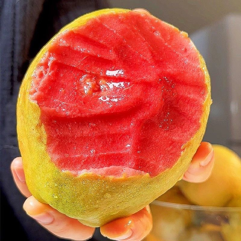 四季红心巴乐番石榴红宝石巴乐白心奶油红心胭脂红果树苗一树一拍