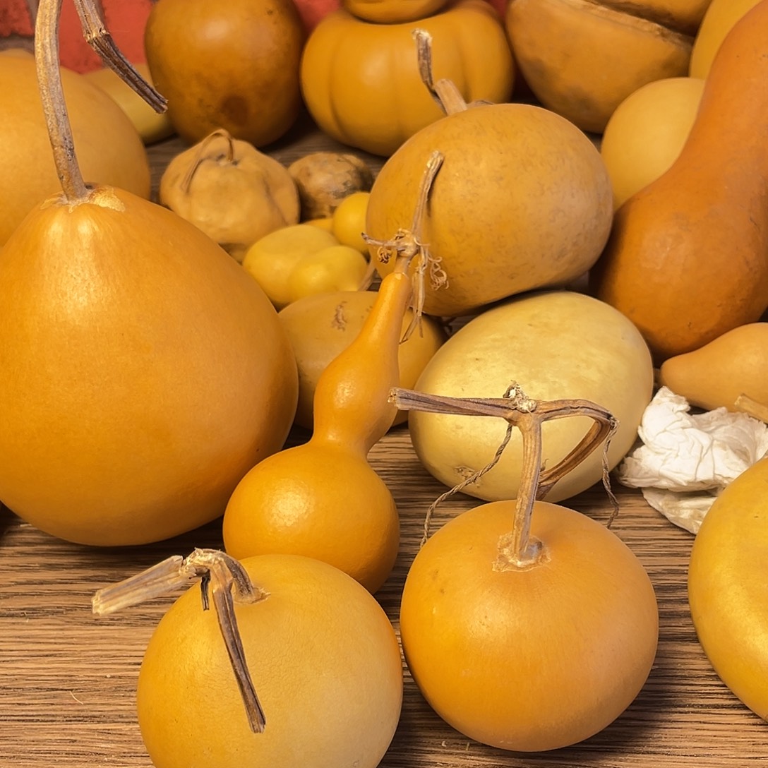 哈***米羊羔毛哈哈哈哈哈哈哈哈哈哈哈哈