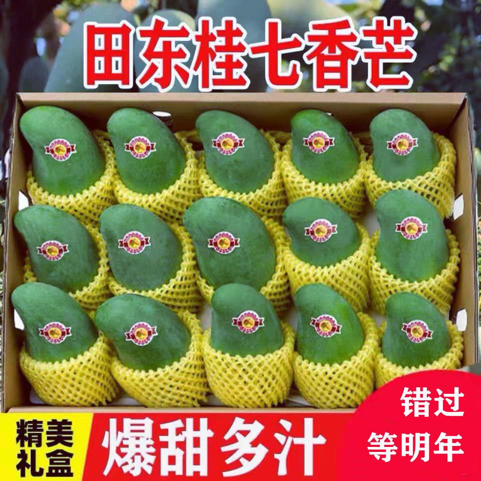 【精品桂七芒】广西百色正宗桂七芒当季青皮应季新鲜水果整箱