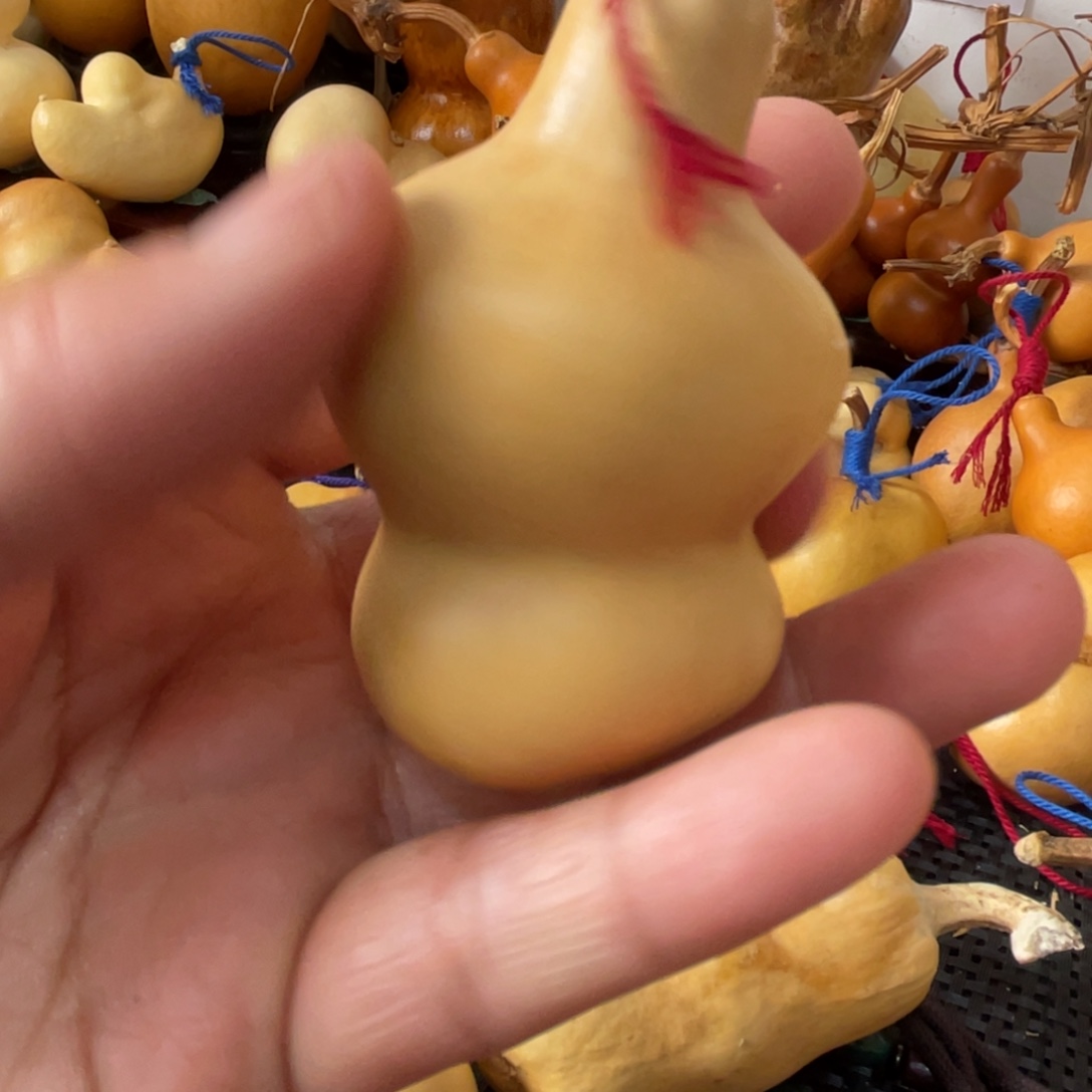 西****葫芦葫哈哈哈哈给哈哈