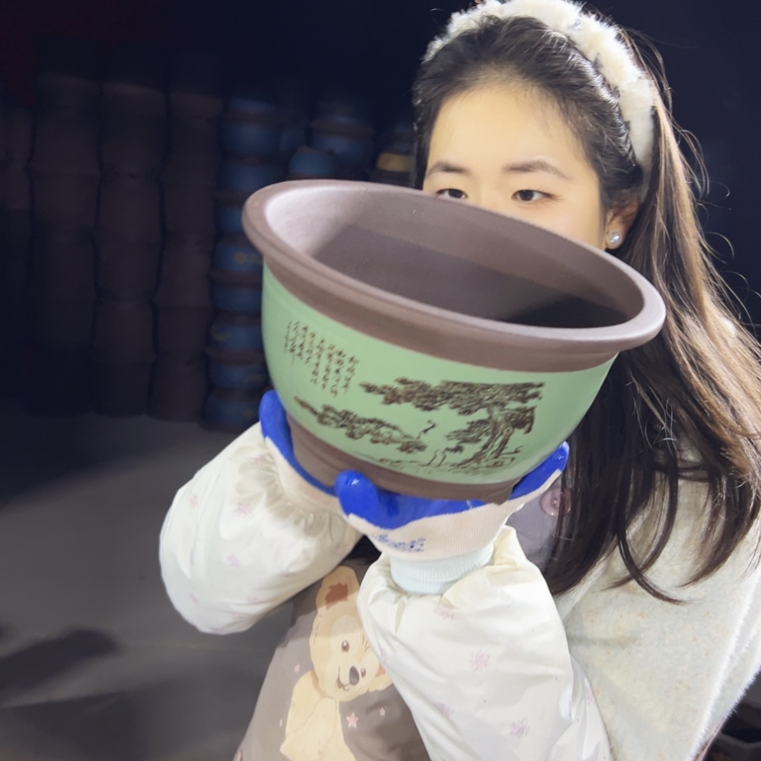 17绿色松鹤三角金钟花盆花盆