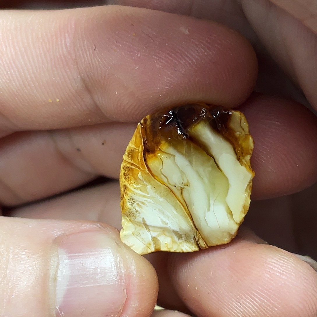 定制琥珀未镶嵌定制