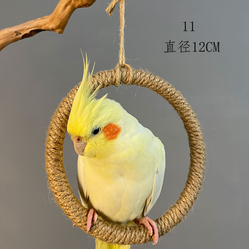 0011鹦鹉圆环秋千玩具玄凤虎皮牡丹啃咬磨牙解闷站架装饰用品