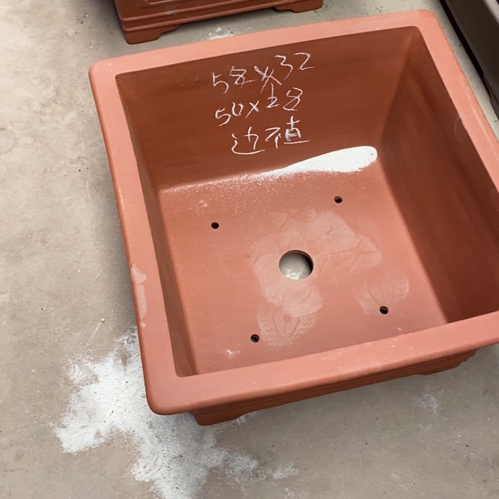 紫砂花盆只顾看电视剧