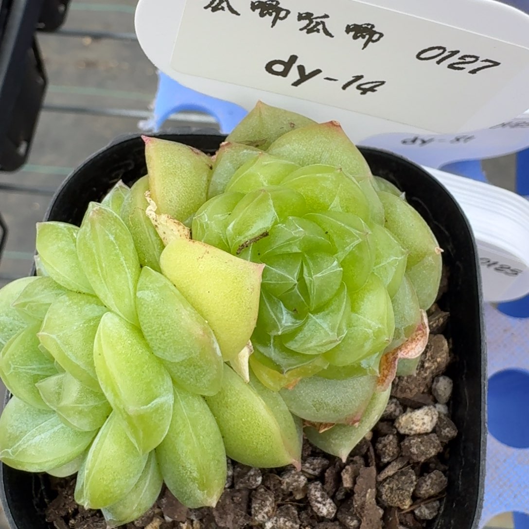 0127-014-3012群一颗