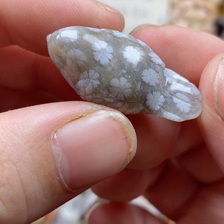 颈饰未镶嵌硅化珊瑚（珊瑚玉）小