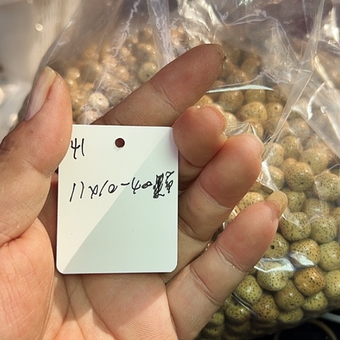 瓶***子星月菩提吊坠41号