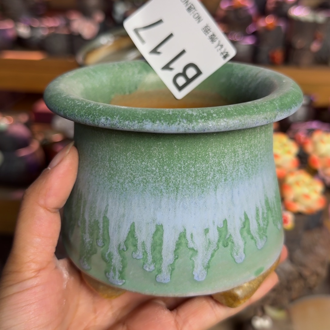 重庆小燕子欢迎大家117