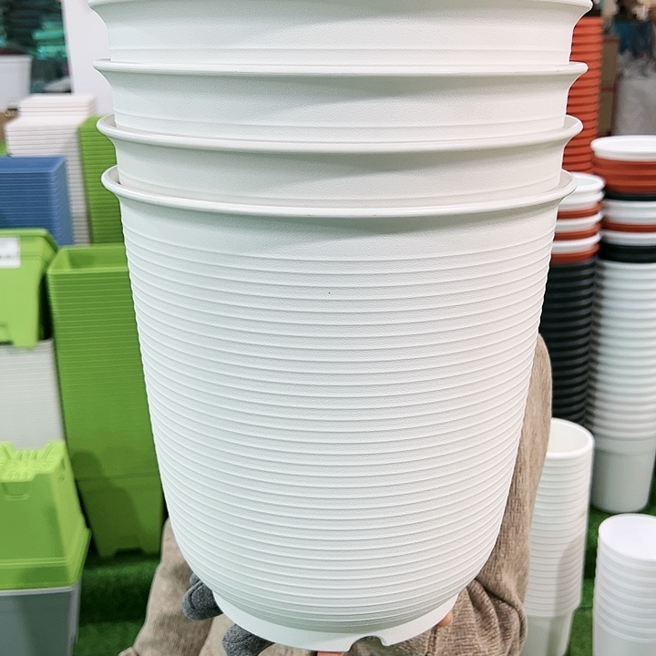 正品高陶口27高27白色4个无托