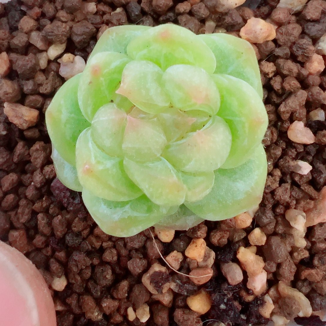 510哈哈哈哈哈哈哈哈我