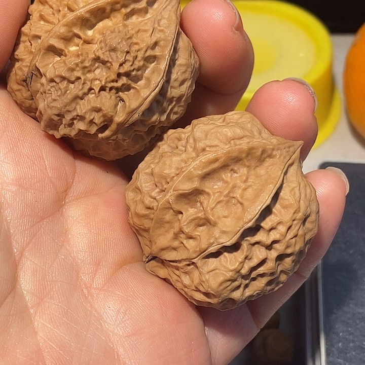 文玩核桃把件6）呼呼呼呼呼呼