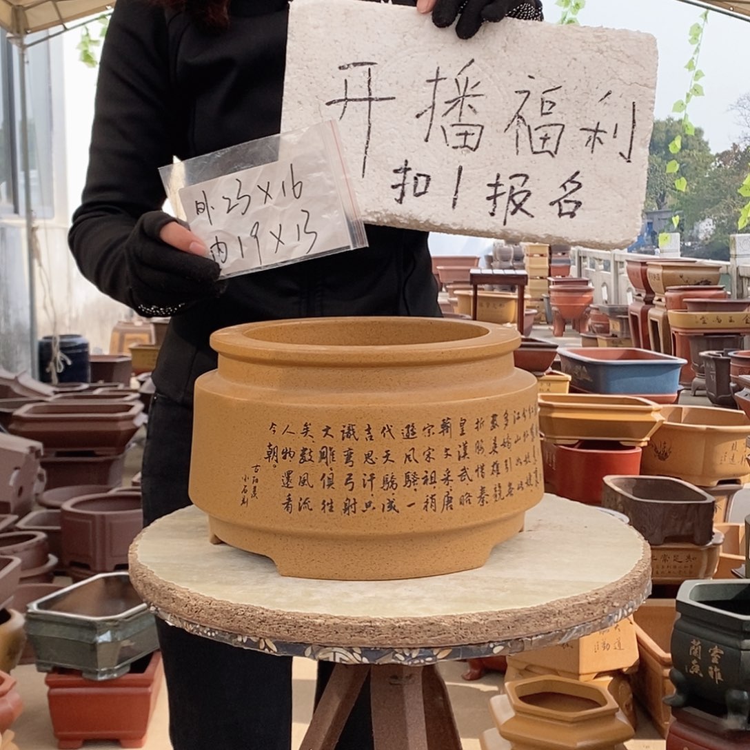 紫砂花盆紫砂花盆