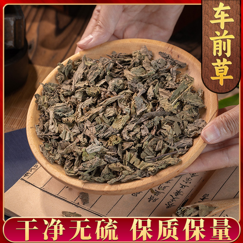 【车前草】车前草新鲜干货