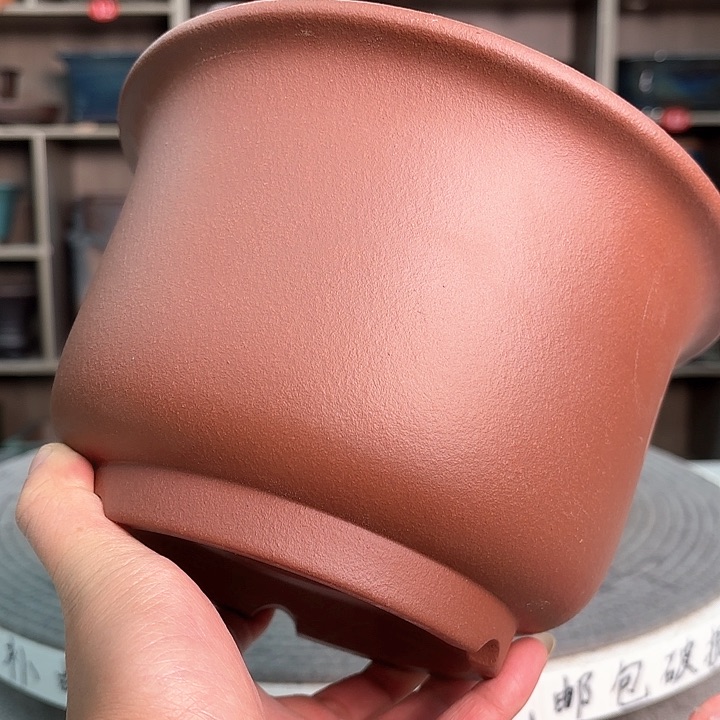 紫砂花盆紫砂的花也太美