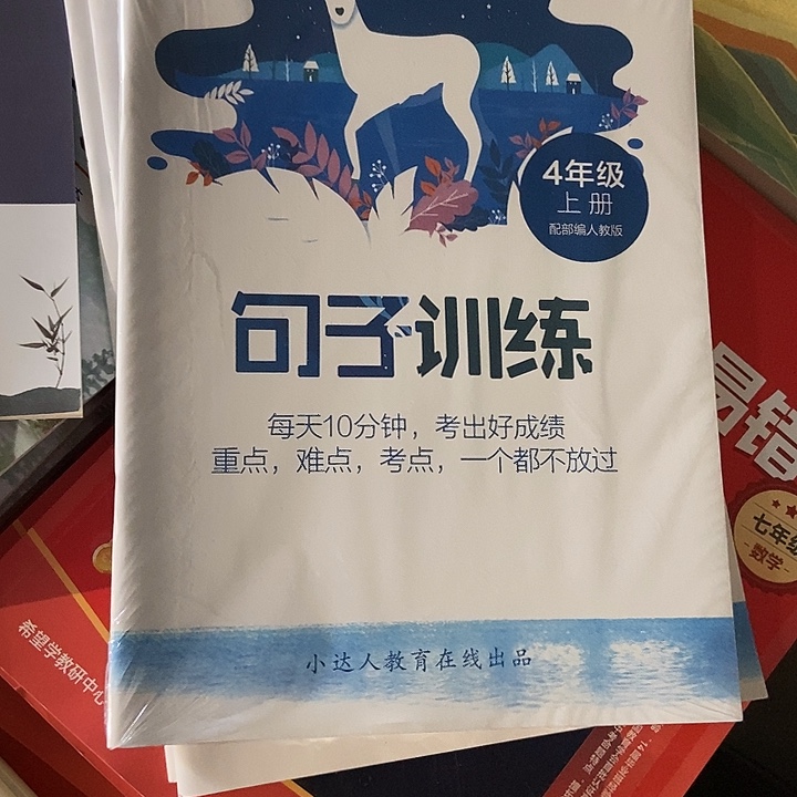 句子训练大全套456年级