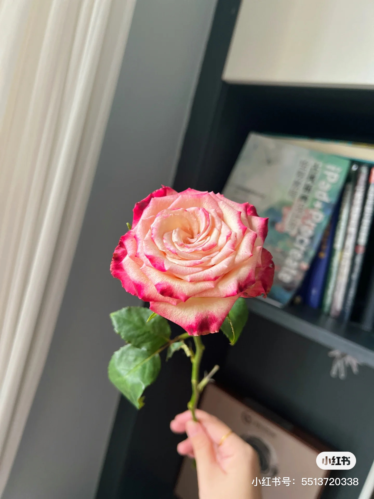 【帝王】水彩笔 任拍下三单及以上顺丰空运包邮10支装%20不售后家居