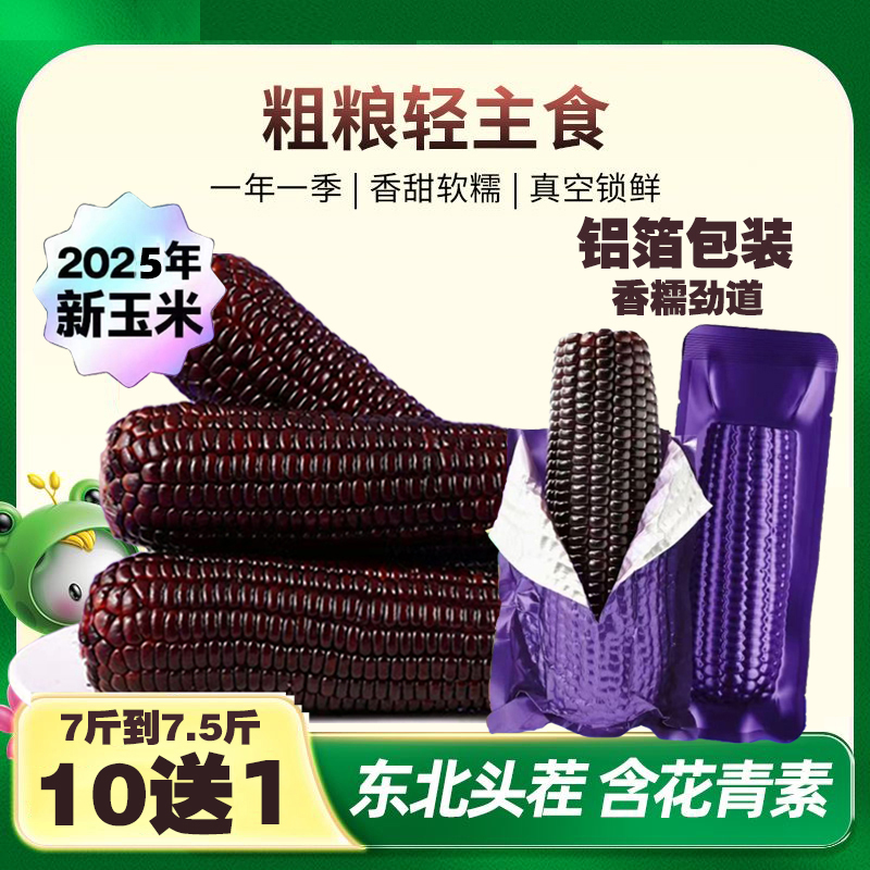 （试吃两根）东北鲜采铝箔黑糯玉米11支 单只280-350g（整箱7-7.5斤）