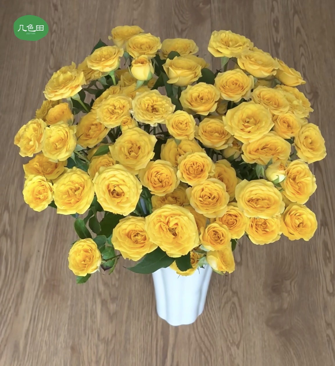 梦幻芭比----多头玫瑰云南直发鲜花云南花插花鲜花 