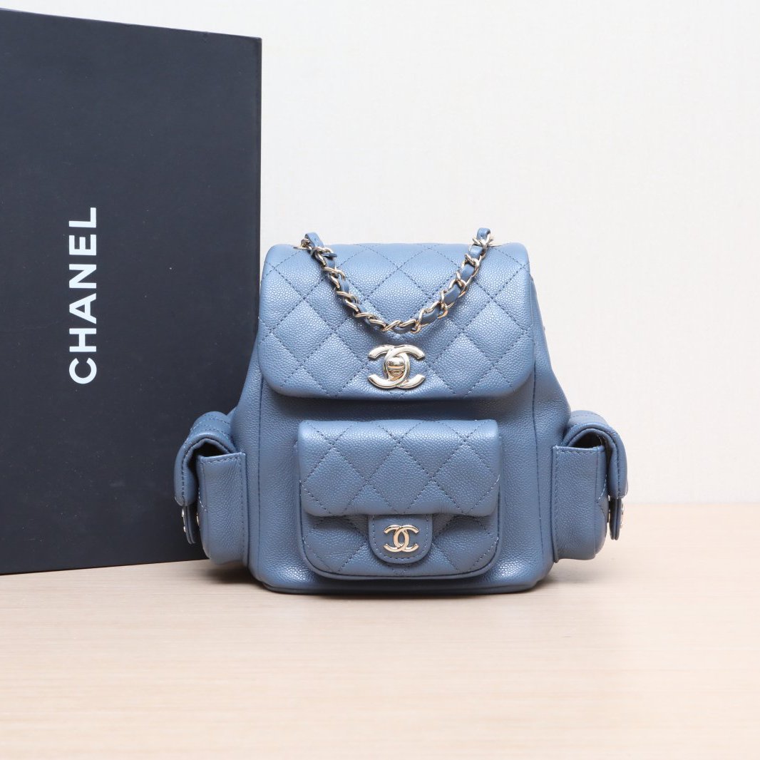 99新 Chanel/香奈儿 小花双双 Duma 坦克双肩包 小号 芯片