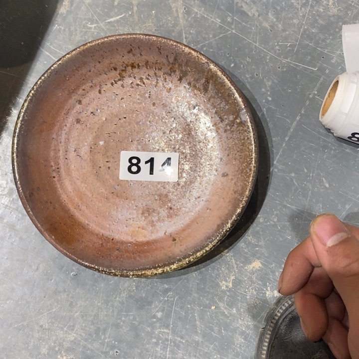 茶盏啦啦啦啦啦啦啦啦啦814