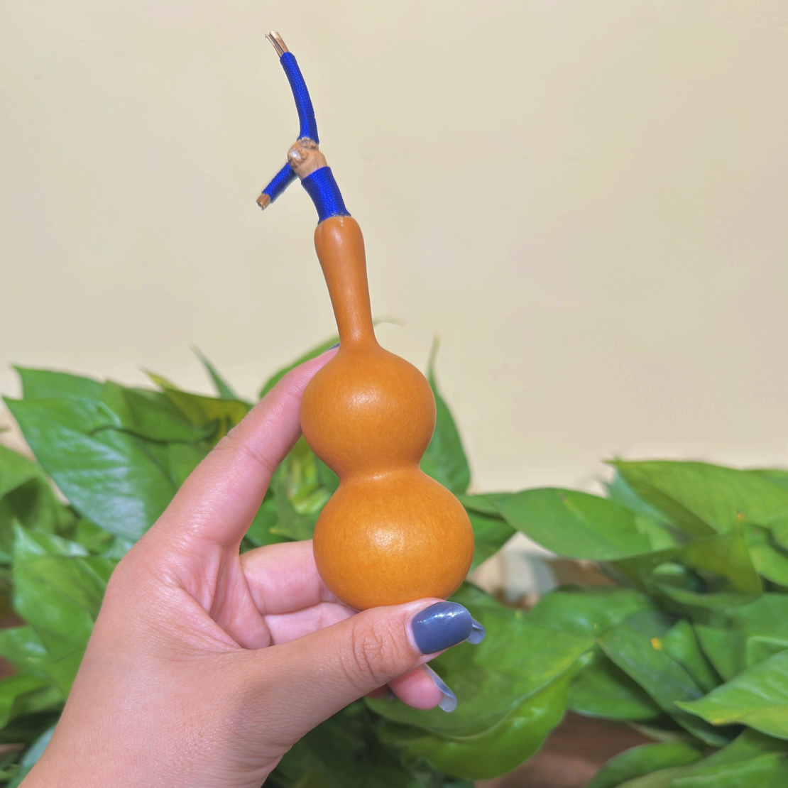 唯意葫芦直播间改价链接