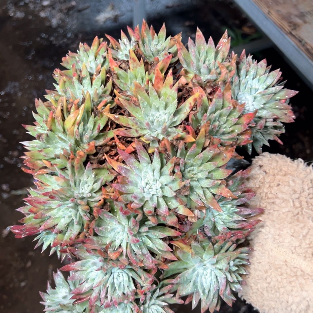 6319哈哈哈哈哈哈哈哈