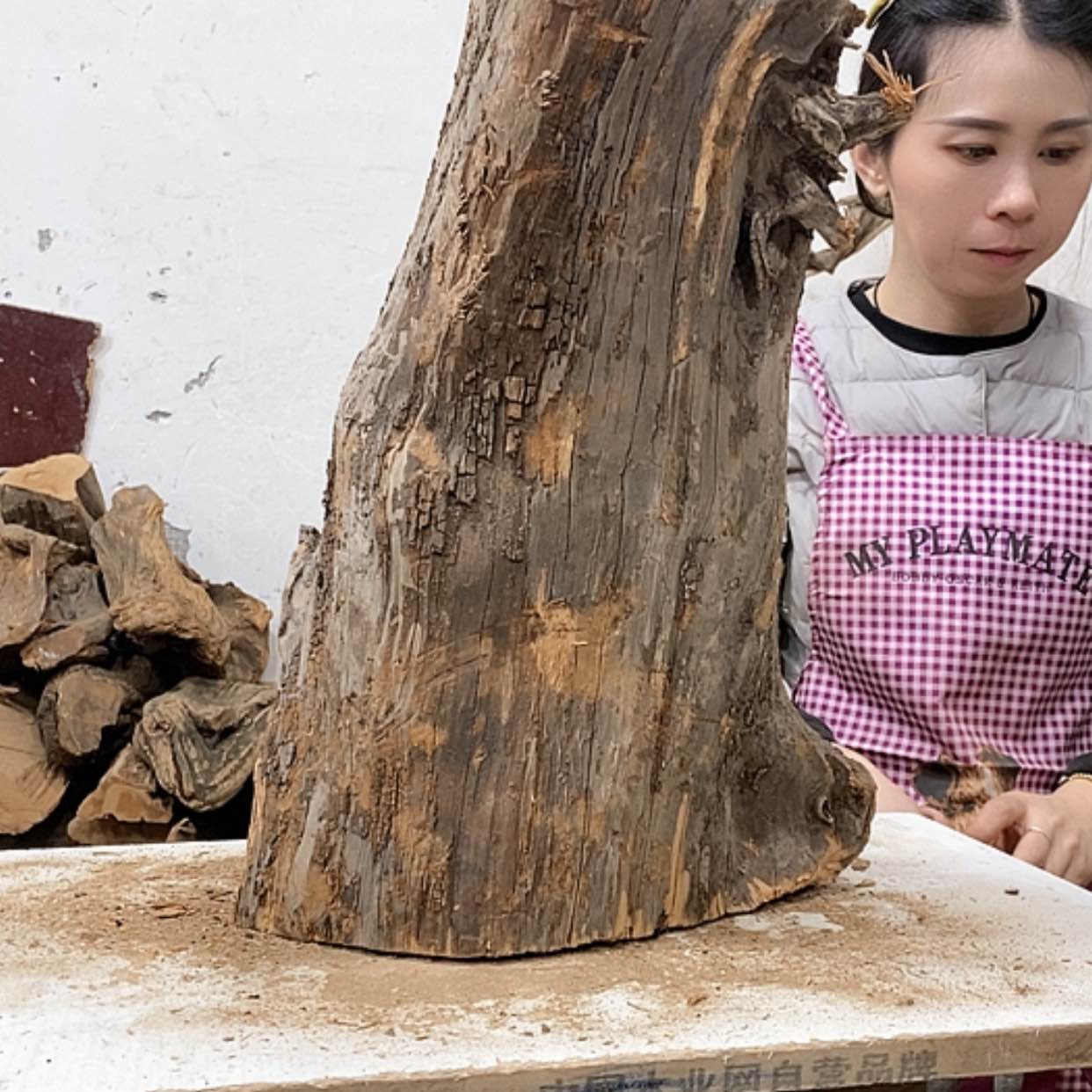 【闪购商品】柏木锦*阁我们都是好孩子