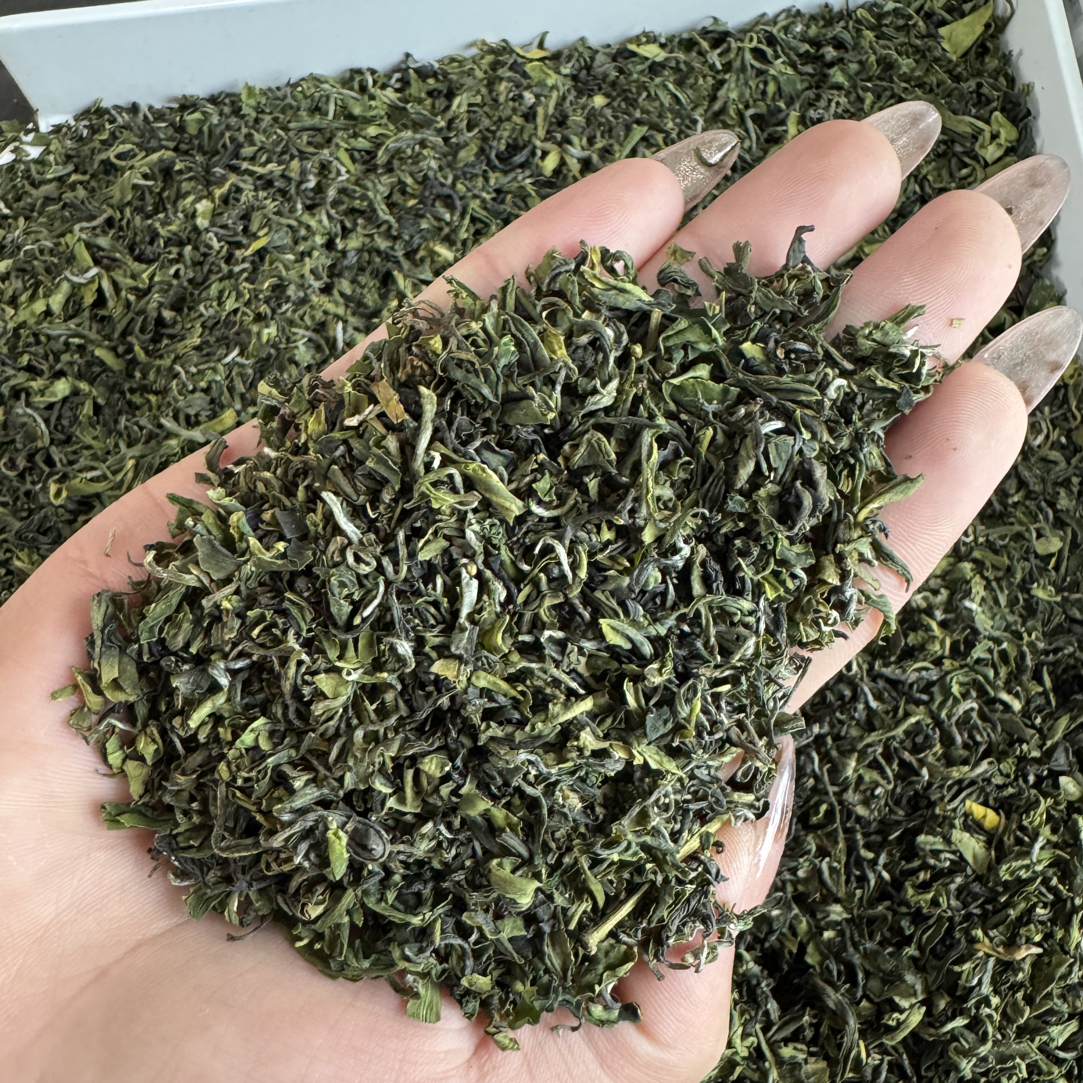 【茶末/茶片混合】2025日照绿茶实惠装特价单枞茶抢