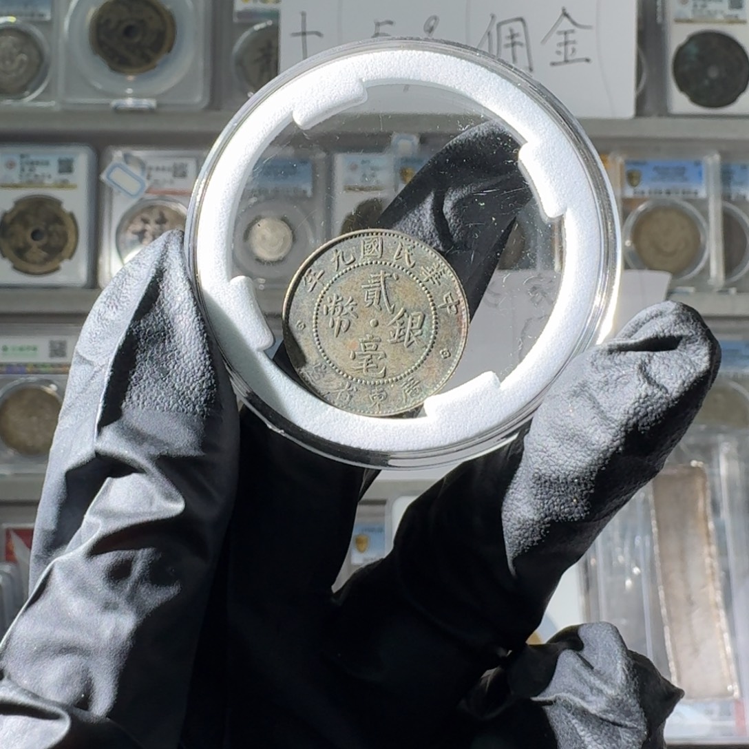 ****～大叶紫檀（黑酸枝木类）广东二哈一个 小师妹MM