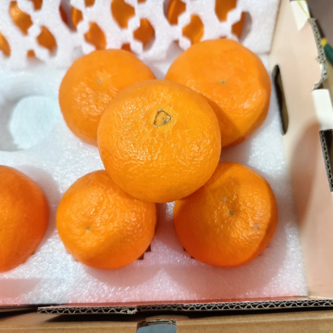 红绣布丁果冻橙带箱6-6.5斤左右