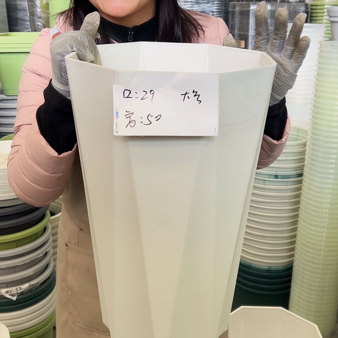 瑕疵大八角白色2个