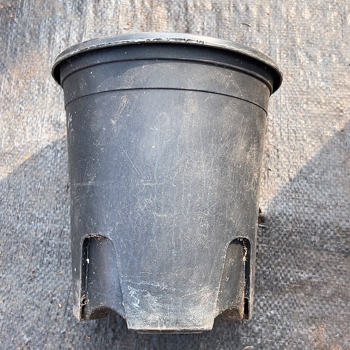 塑料口径16高度17黑加仑一组15个