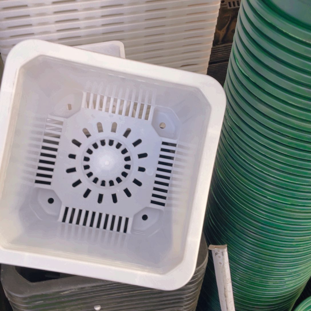 塑料新22公分白方盆 5个