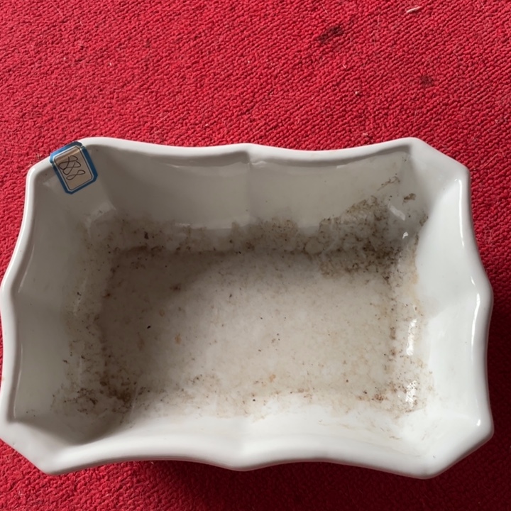 茶壶茶杯花瓶罐子茶壶
