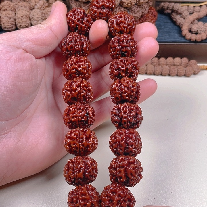 金刚菩提手串23粗筋安娜
