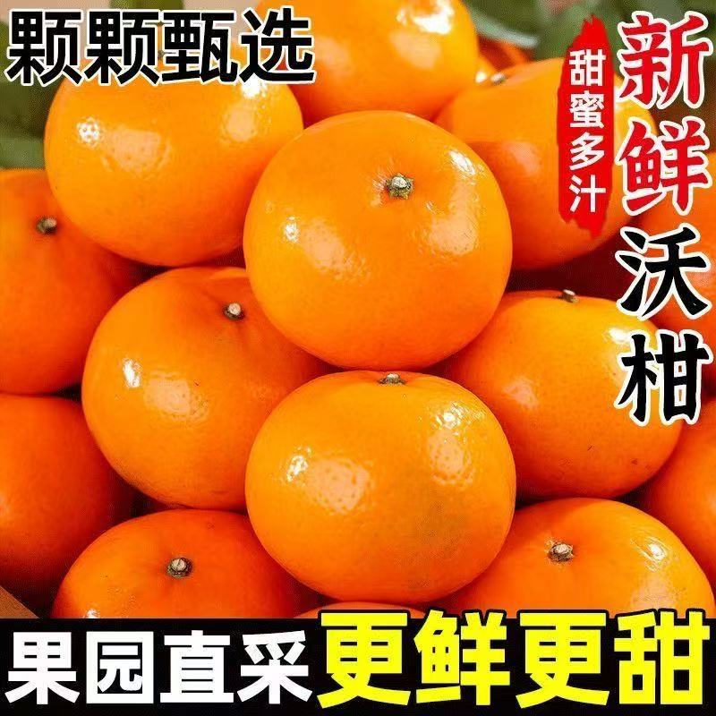 [现摘]正宗武鸣沃柑新鲜现摘应季水果超甜蜜橘子【精品装】