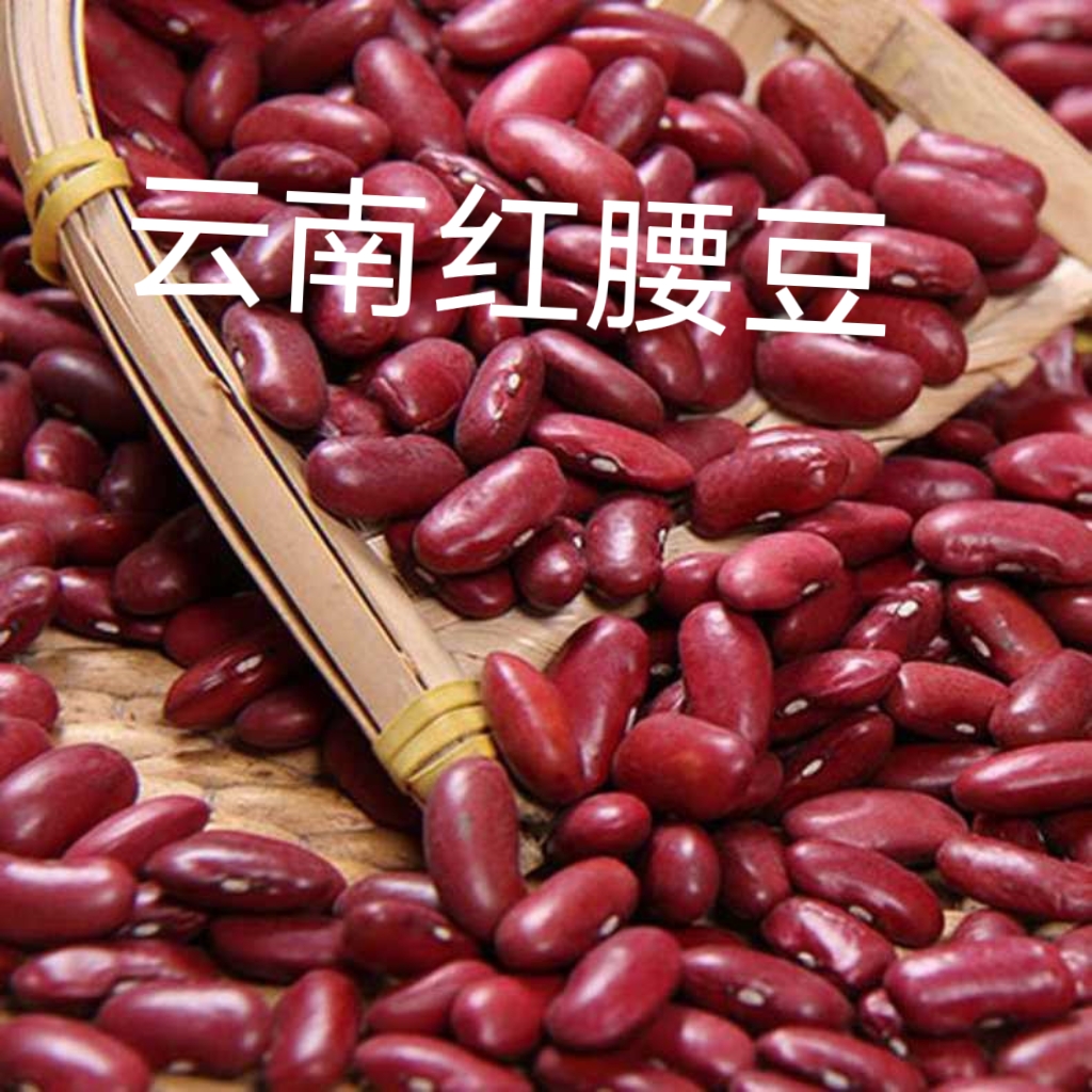 云南特产红腰豆红芸豆五谷杂粮可煮汤熬粥 酸菜烫