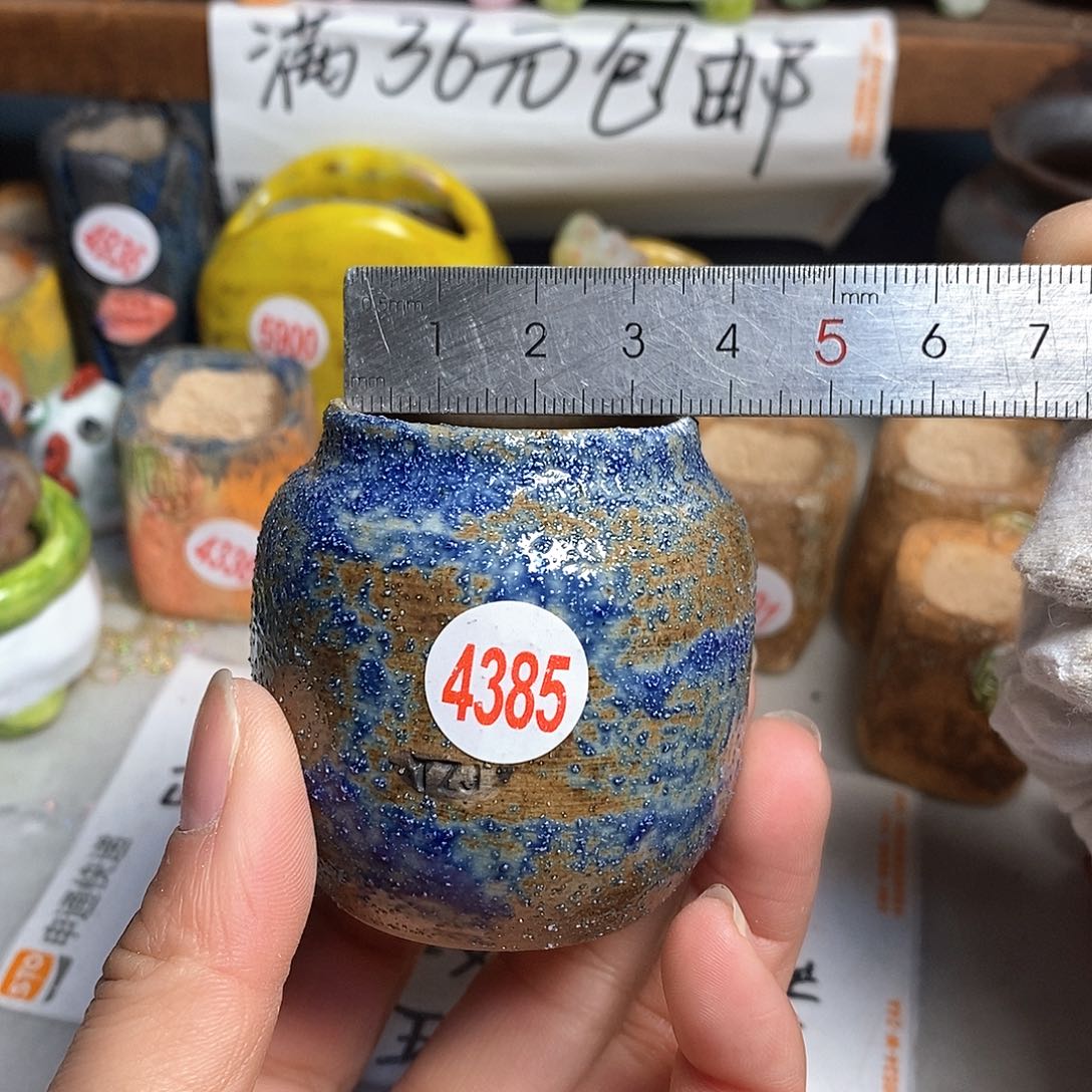 红陶拍5送一个小