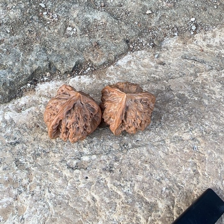 直***下把件文玩核桃三棱