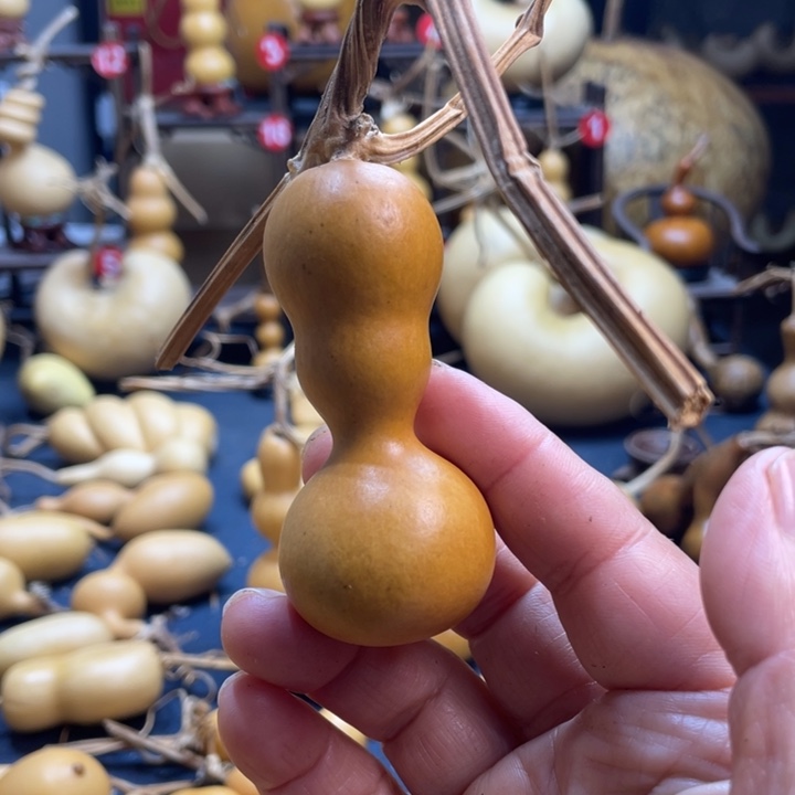 哇***欧我的小可爱们要加油哦打榜加油啊加油