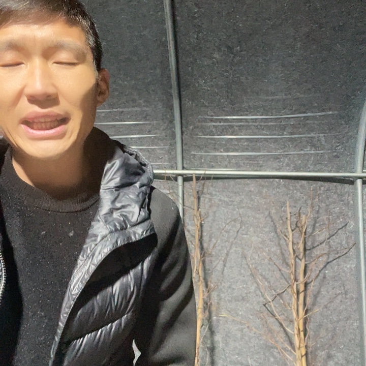 用***8蜜罐一物一拍树枝