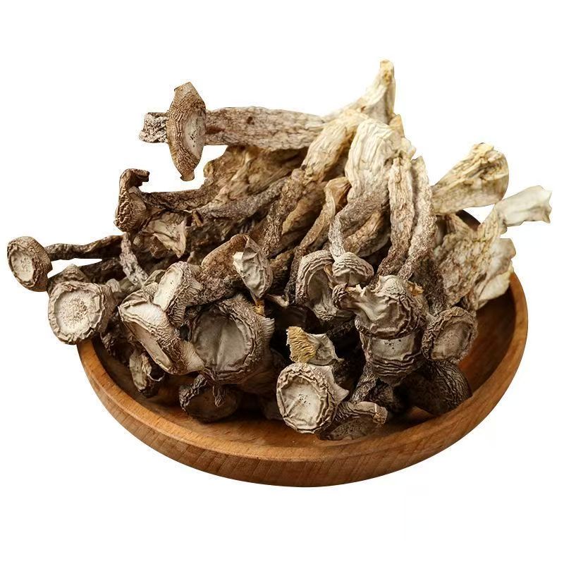 鹿茸菇干货精品鹿茸无硫熏
