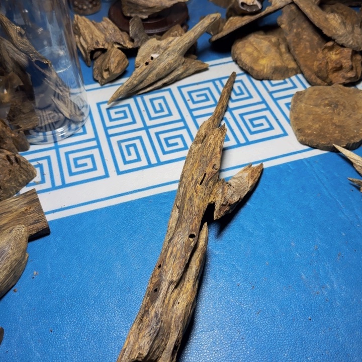 木质绿奇陆河虫漏130克