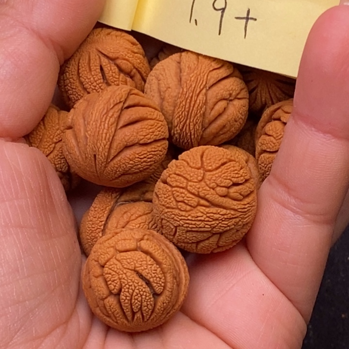 秦岭龙纹桃核14颗