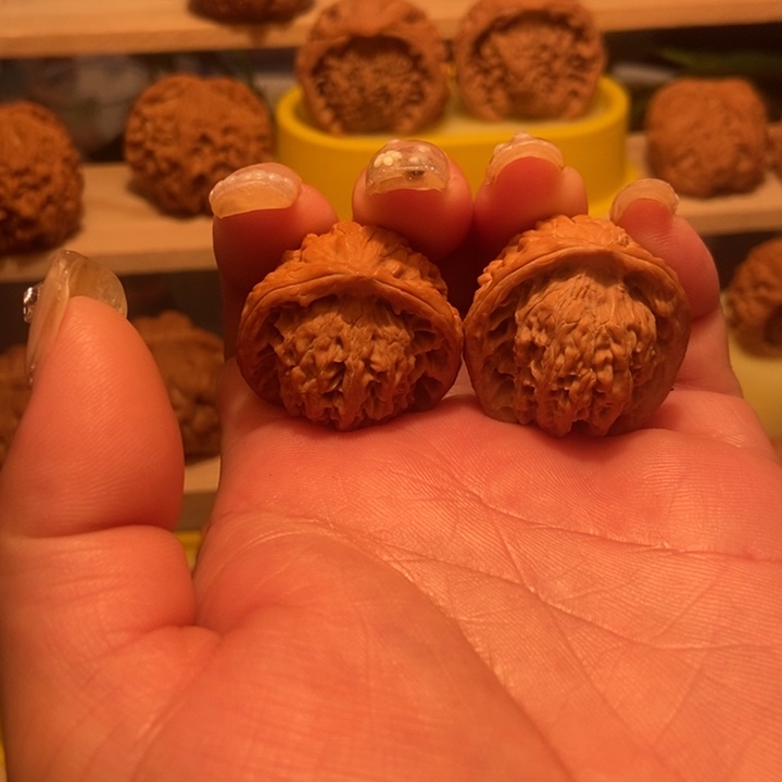 官方网站发布消息