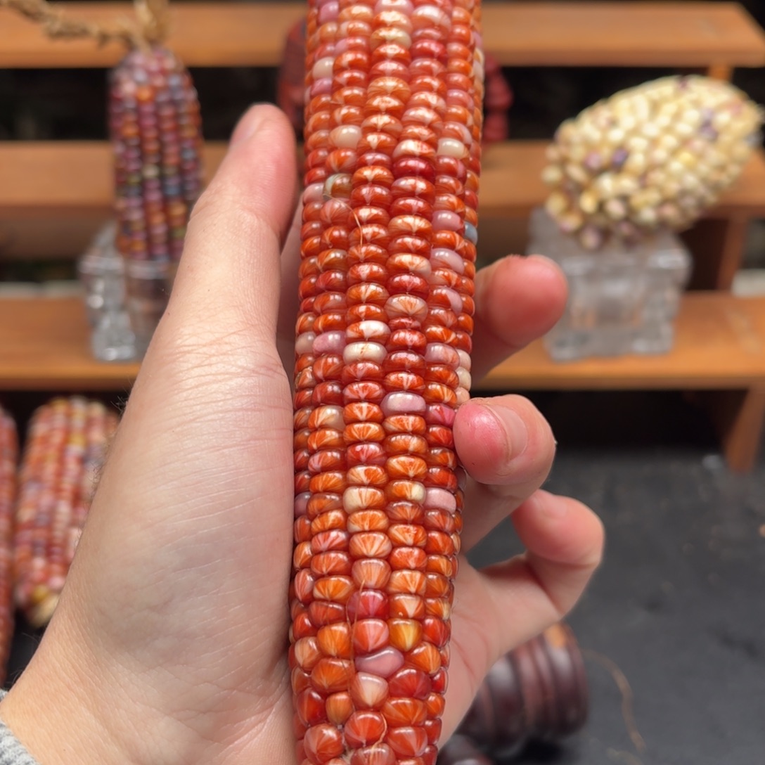 巧****七彩宝石文玩玉米