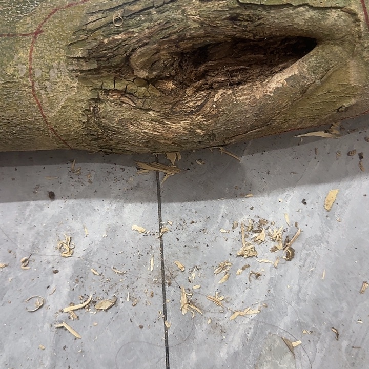 沉香沉香碎屑沉香料子